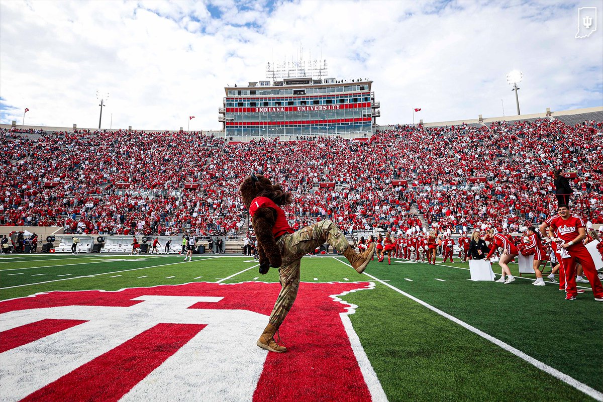 IUHoosiers's tweet photo. Happy National Bison Month, Hoosiers! 🦬❤️ https://t.co/TFnHhw4Oq8