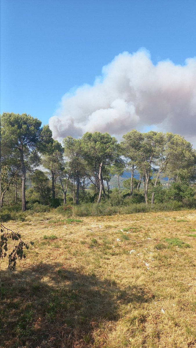 Guaita_la's tweet photo. Incendi #Carme
#LaTerraCrema.
Aquest hivern les coses han de canviar a Catalunya.
@govern @SilviaPaneque @nuriaparlon @salvadorilla Ja n'hi ha prou, PROU. https://t.co/D3P5jN9O9w