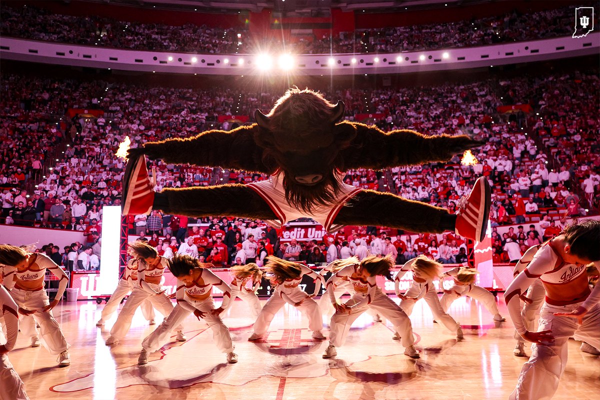 IUHoosiers's tweet photo. Happy National Bison Month, Hoosiers! 🦬❤️ https://t.co/TFnHhw4Oq8