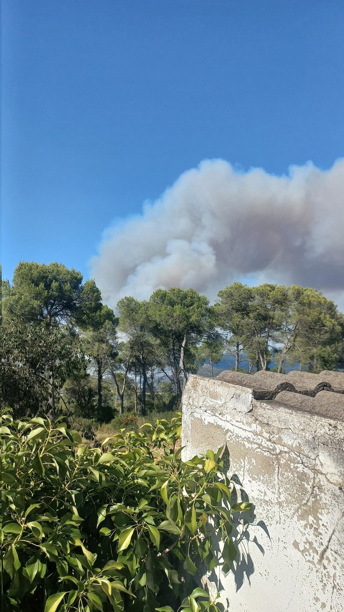 Guaita_la's tweet photo. Incendi #Carme
#LaTerraCrema.
Aquest hivern les coses han de canviar a Catalunya.
@govern @SilviaPaneque @nuriaparlon @salvadorilla Ja n'hi ha prou, PROU. https://t.co/D3P5jN9O9w