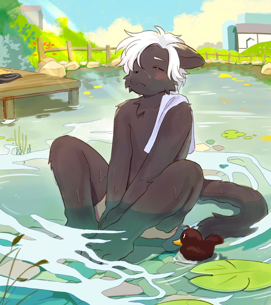 arnd_Dawn's tweet photo. Cooling off☀️ https://t.co/JO6xpKbV4M