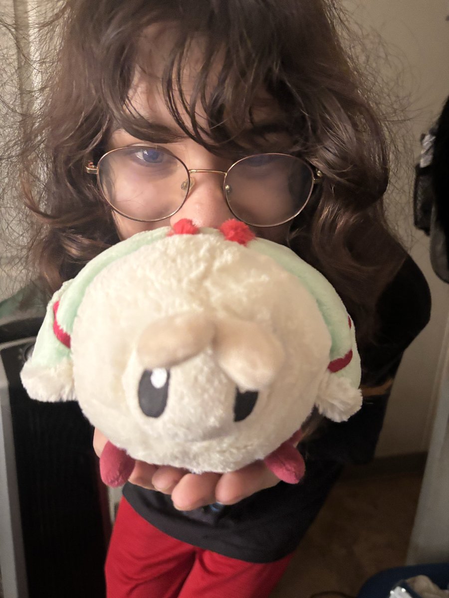 persephone46127's tweet photo. @squishable I love her LUNA MOTH🥺🥺🥺 https://t.co/HaRFuEN1jU