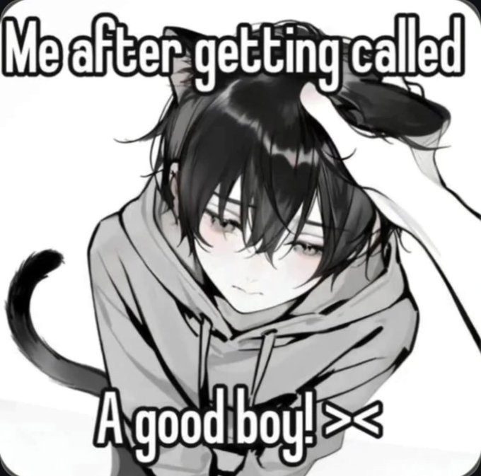 The Femboy Order tweet media