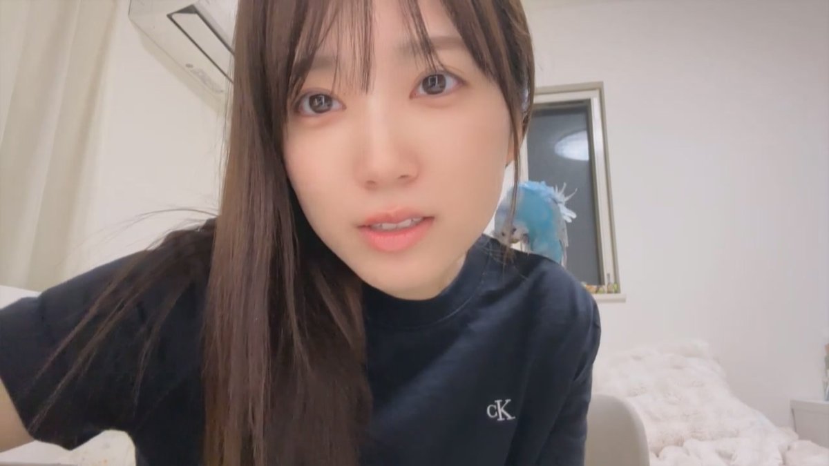 aingmar222's tweet photo. 집에 와서 보는 나코룸
나코는 리듬게임천국, 피코로랑 하나짱은 깃털정리
나코랑 피코로랑 하나짱이랑 서로 신경도 안쓰고 할거 하는게 넘 웃김 ㅋㅋㅋㅋㅋㅋ
이게 나코의 평소 일상인가? ㅋㅋㅋ 
#矢吹奈子 #なこるーむ https://t.co/aBGnKvAXeA