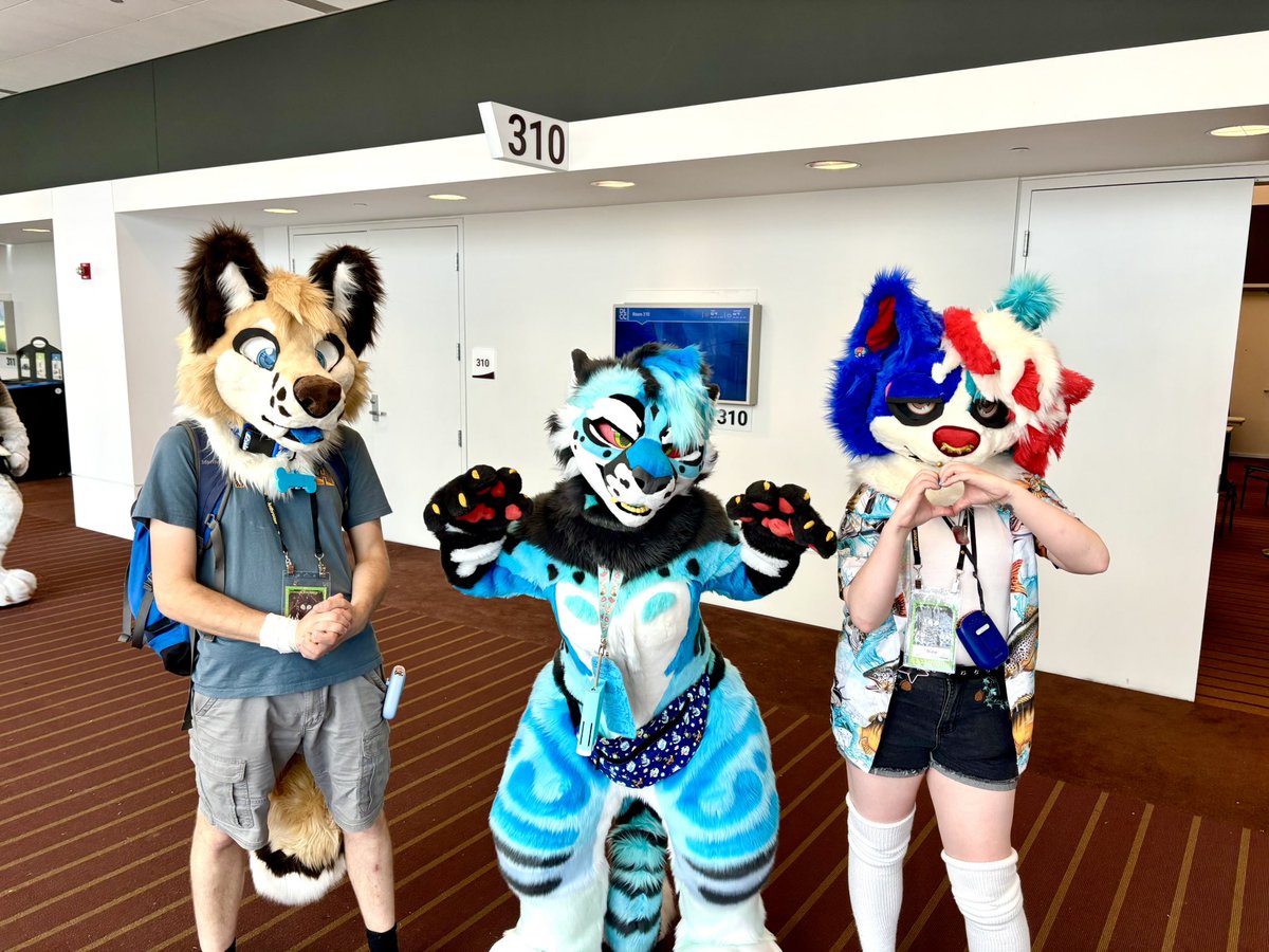 Frozencalico's tweet photo. Had such a fun time Saturday thank you for everyone being so kind!! #Anthrocon https://t.co/Rmj3U3FTZy