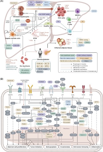 HEPATOLOGY Journal tweet media