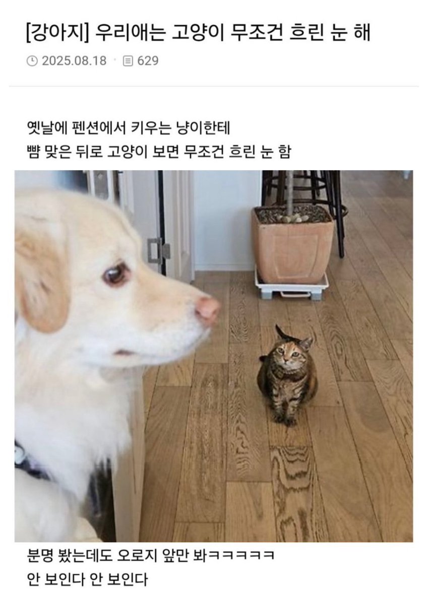 akzkfltm2's tweet photo. https://t.co/R5NStVJ6XJ