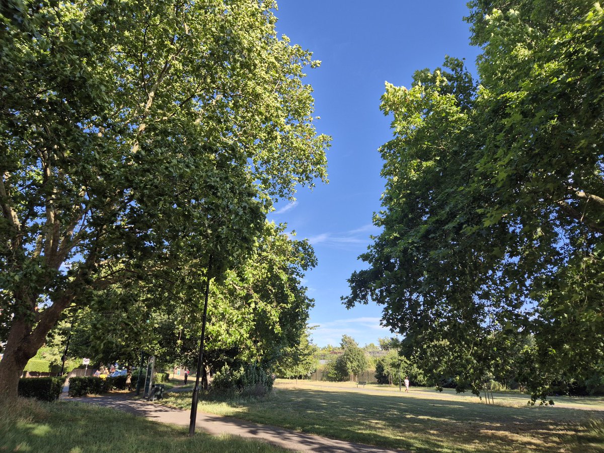 WLawrenceson's tweet photo. 260706 pm #somafm #whytevictoria #komoot #rlrc 19 https://t.co/Etf51bgT3a https://t.co/7pCbe7YB1w