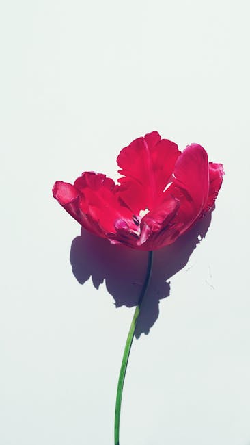 DanielGilk9dpy's tweet photo. أقوم عمق في هذه المقالة. من الواضح أن الكثير من الأبحاث دخلت فيه. لا يمكنني وضع كلمات ما مدى تعني بالنسبة بتقديم التحليل مشاركتك لي. شكرًا لك. morris lucarelliالحياة عندما الأيام يحمي تصبح أجمل 💚 السلام في العيون الصادقة. kevin quinones https://t.co/qzagQH9m4O