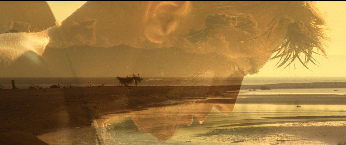 framebyguido's tweet photo. Apocalypse Now (1979)
Dir. Francis Ford Coppola https://t.co/D1wbTY5R1F