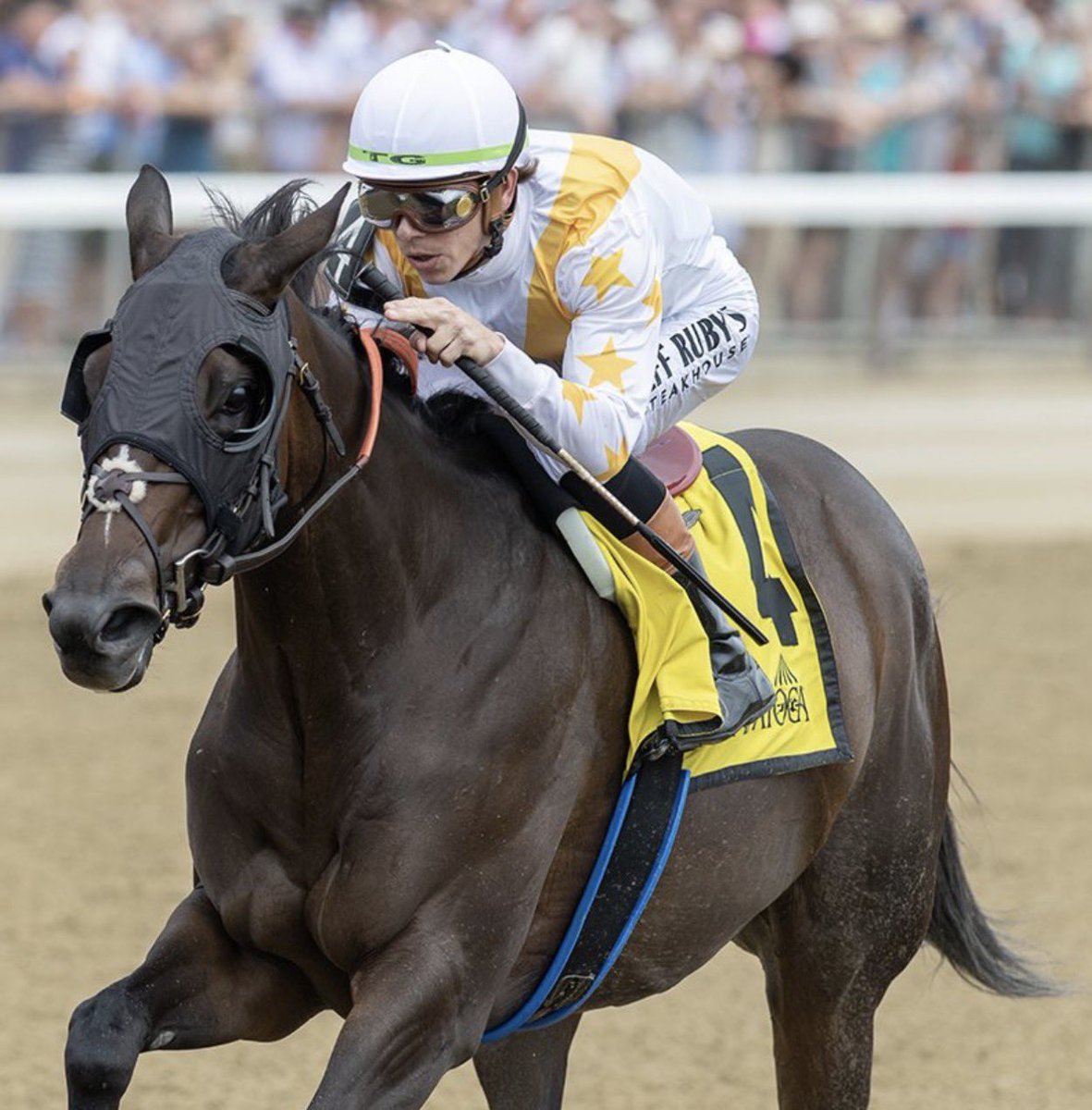 alett15's tweet photo. 🏇 MASHALLAH…!!!
La costosa yegua del @JRRanch1802 respondió como favorita en Saratoga y ahora tiene campaña de 3-2. Costó 1 millón 250 mil dólares en la subasta @OBSSales (marzo 2025) y la montó @Tyler_Gaff para la cuadra de @brenpwalsh https://t.co/aO1ExNIXj6