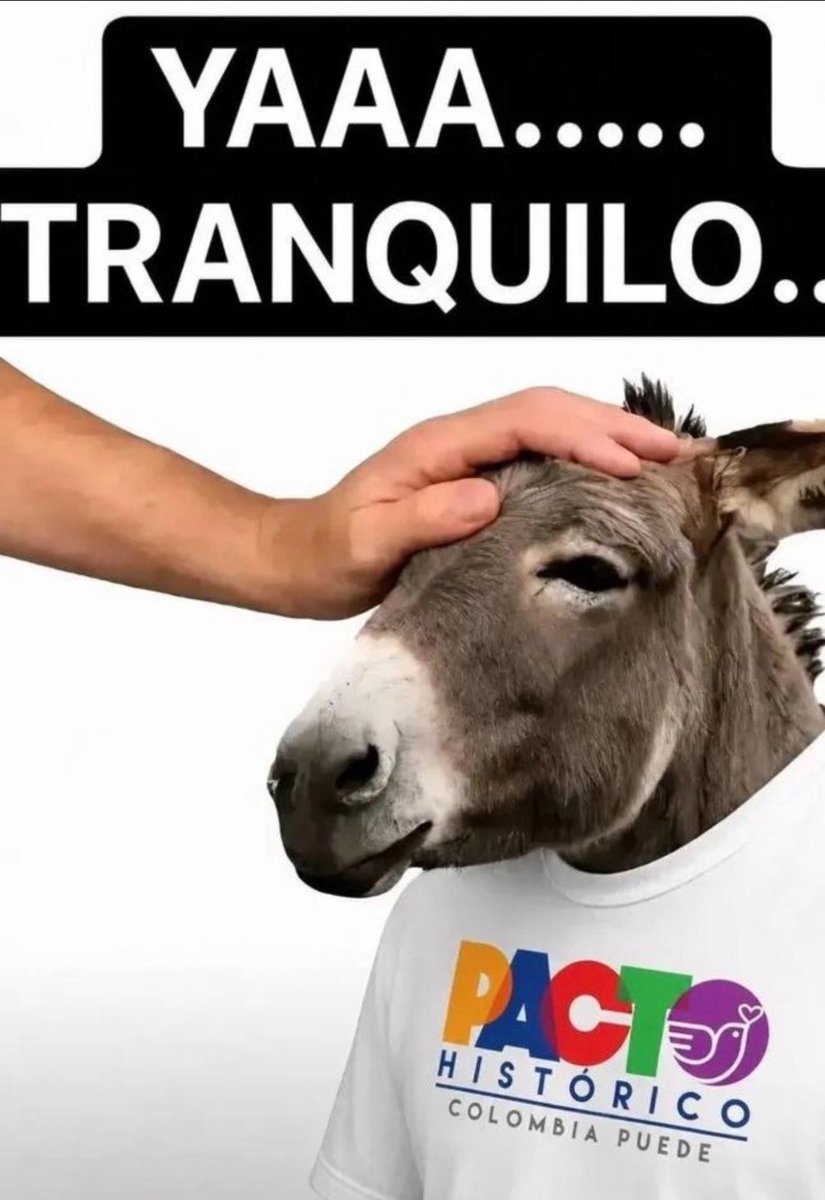 JohanAltam58318's tweet photo. @petrogustavo Callese animal, ya no tiene derecho a opinar estupideces, largo ya. https://t.co/gKjid4rhGf