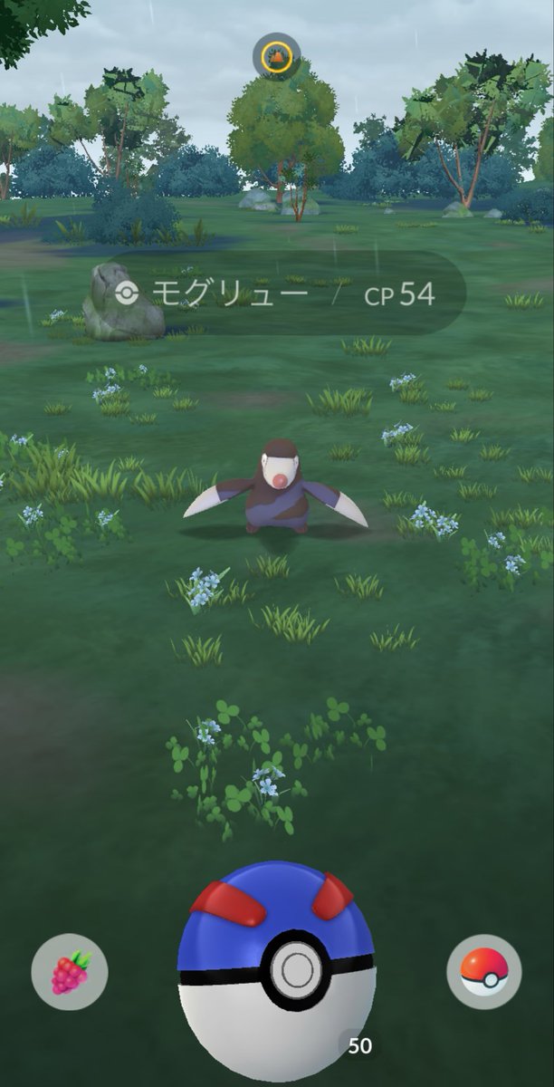 eichan_desu's tweet photo. 色違いヒトカゲ　小さいモグリュー https://t.co/wsaUKtwadb