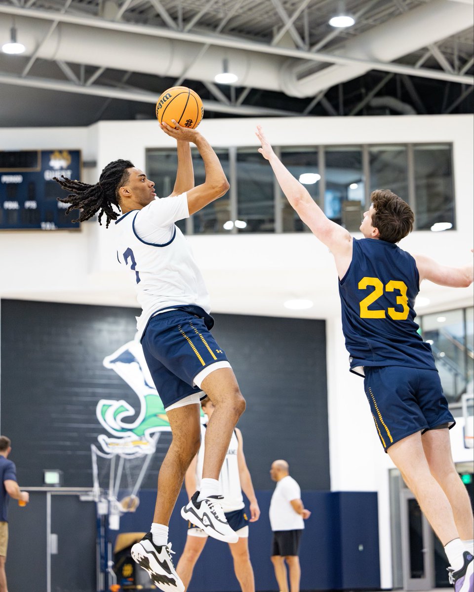 Notre Dame Men's Basketball tweet media