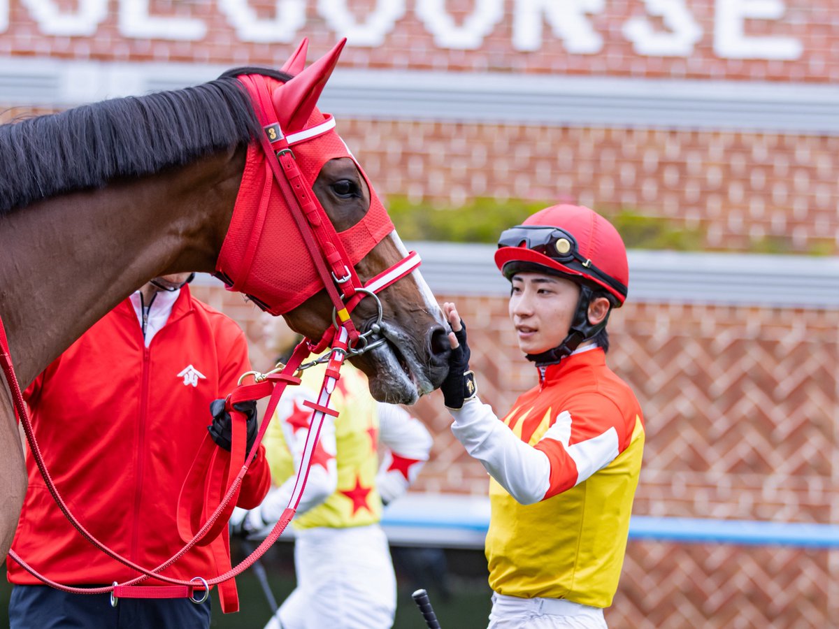 Koocham1112's tweet photo. 2026.07.05 函館競馬場

スタンピー
長浜鴻緒騎手

#スタンピー
#長浜鴻緒
#深山雅史厩舎 https://t.co/EXvzGO7kno