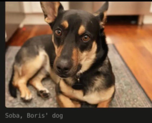 hyperboreanski's tweet photo. @claudeai Is this really his dog? https://t.co/KOuDri9zeZ