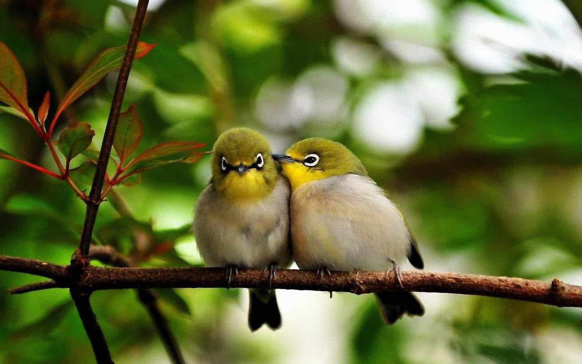mo_dq's tweet photo. أميلُ #بقَلبي عَنگَ 
            ثُمَّ أرُدُّهُ
وَأَعذِرُ نَفسي فـــِ❤️ــيگ
         ثُمَّ ألومُها •••

#شعور_اللحظه https://t.co/rBY8llCEvD