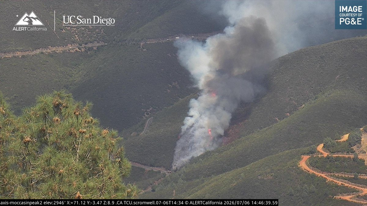 CaliFireTracker's tweet photo. There are some pretty concerning flame lengths visible on the #PriestFire on some of the latest frames. Thankfully, there are some large fuel breaks at the top of the slope but she's putting up a fight, https://t.co/jxZMmstNdD