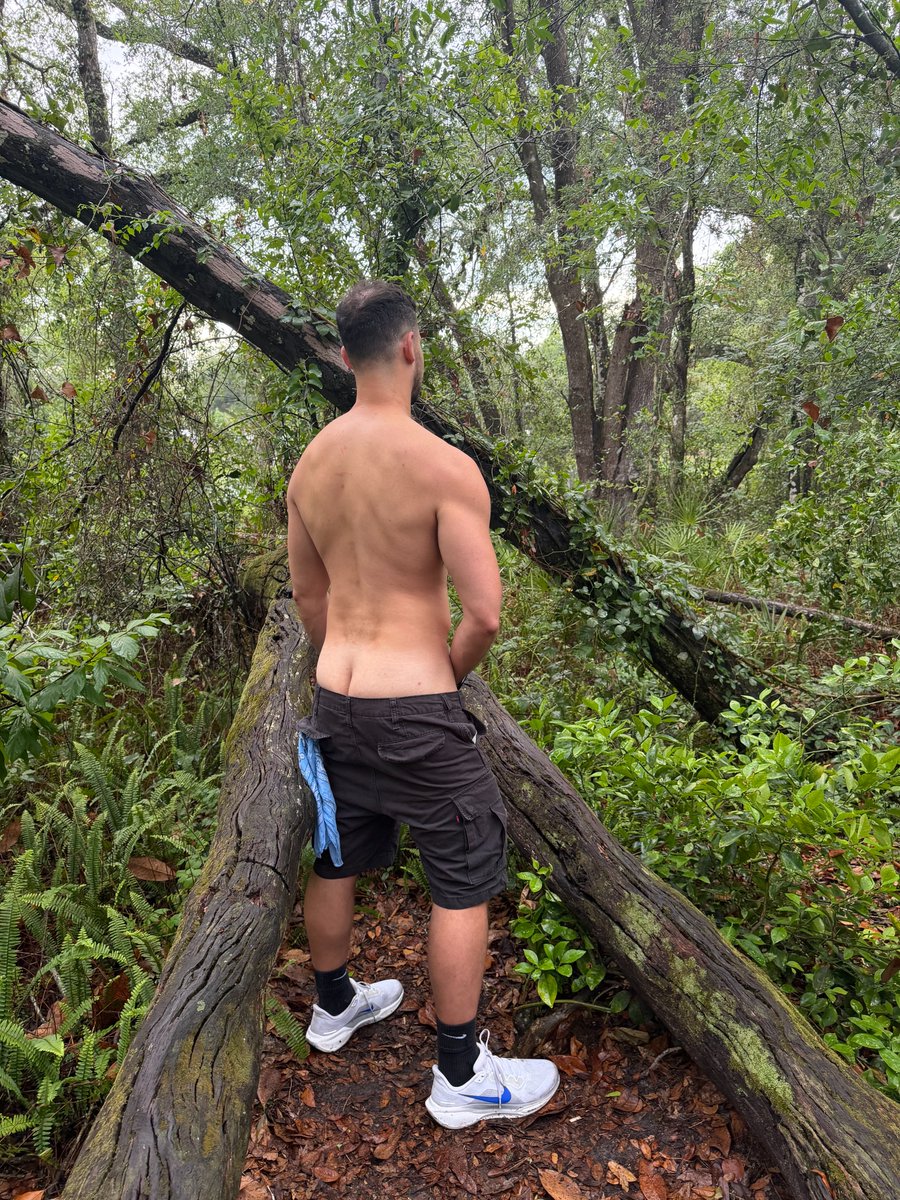 alphajockchi's tweet photo. I think I saw a bird https://t.co/MPHYZg5RUg