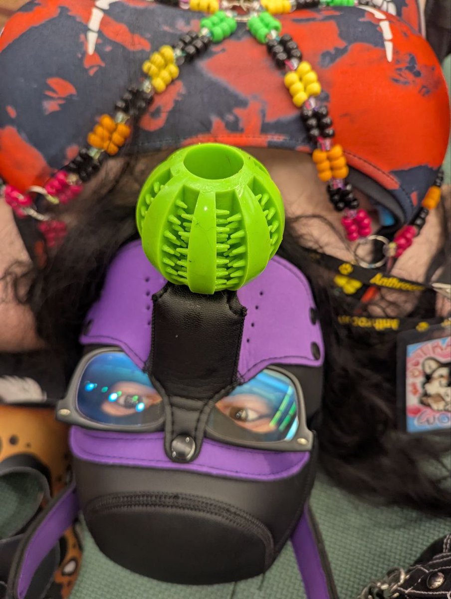WereWolfieAD's tweet photo. Ball? 

0/50

#humanpup #puphood #petplay #puppy #puppyplay #puppyboy #puppygirl #harness #ball #toy #nsfw #realnsfw #nsfwtwt #kink #kinky #spicyworker https://t.co/UEfeFHk9jv