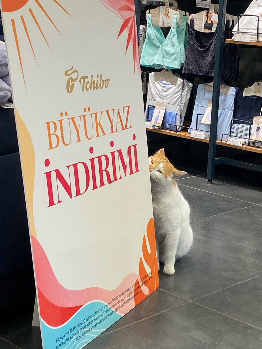 deliymism's tweet photo. tchibonun buyuk yaz indirimi musterilerden buyuk ilgi topladi 👏 https://t.co/ICP1xiFTfD