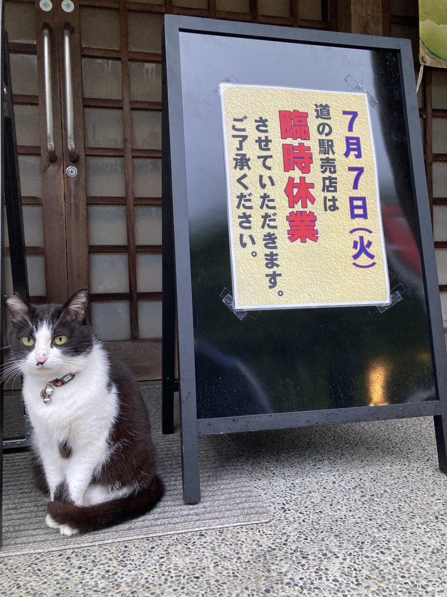 kawaneonsen's tweet photo. おはようごにゃいます😸
7月7日火曜日🎋
本日休館日
　入浴　⚠️休館日
　お食事処　⚠️休館日
　道の駅売店　⚠️臨時休業
明日お待ちしておりますにゃん🐾
#企業公式が朝の挨拶を言い合う 
#川根温泉ふれあいの泉 https://t.co/59A2awIh6q