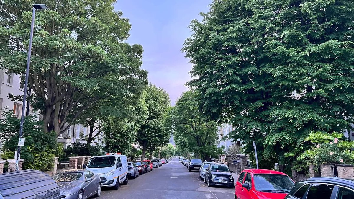 santiagogrial's tweet photo. 🌳 Sempre o digo, e insisto, sobre todo con tanta calor. Concellos: poñede #árbores! Moitos, polas rúas! DOS DE VERDADE, NON OS QUEDABÉN QUE NON MEDRAN E A 50 METROS!! 4 veciños que protestan? Nin caso!
Coma en toda a Europa desenvolvida! Viaxade, lede e non teñades medo. (+) https://t.co/84Km2UQMhk