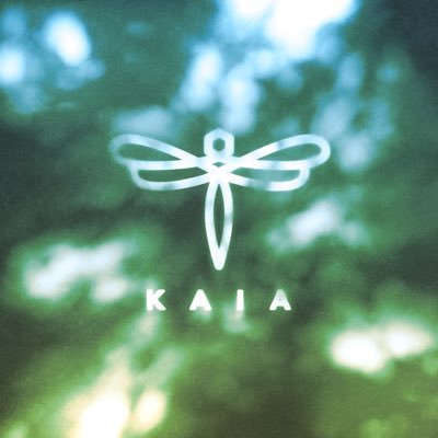 popbasephil's tweet photo. KAIA "hulog" reaches a new peak at #6 on iTunes Philippines Top Songs chart. https://t.co/UIWG2vxqqo