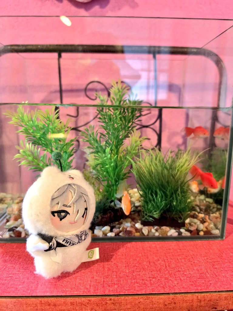 plum_0202's tweet photo. 店内も可愛いよ🌹 https://t.co/whhjca5SnI