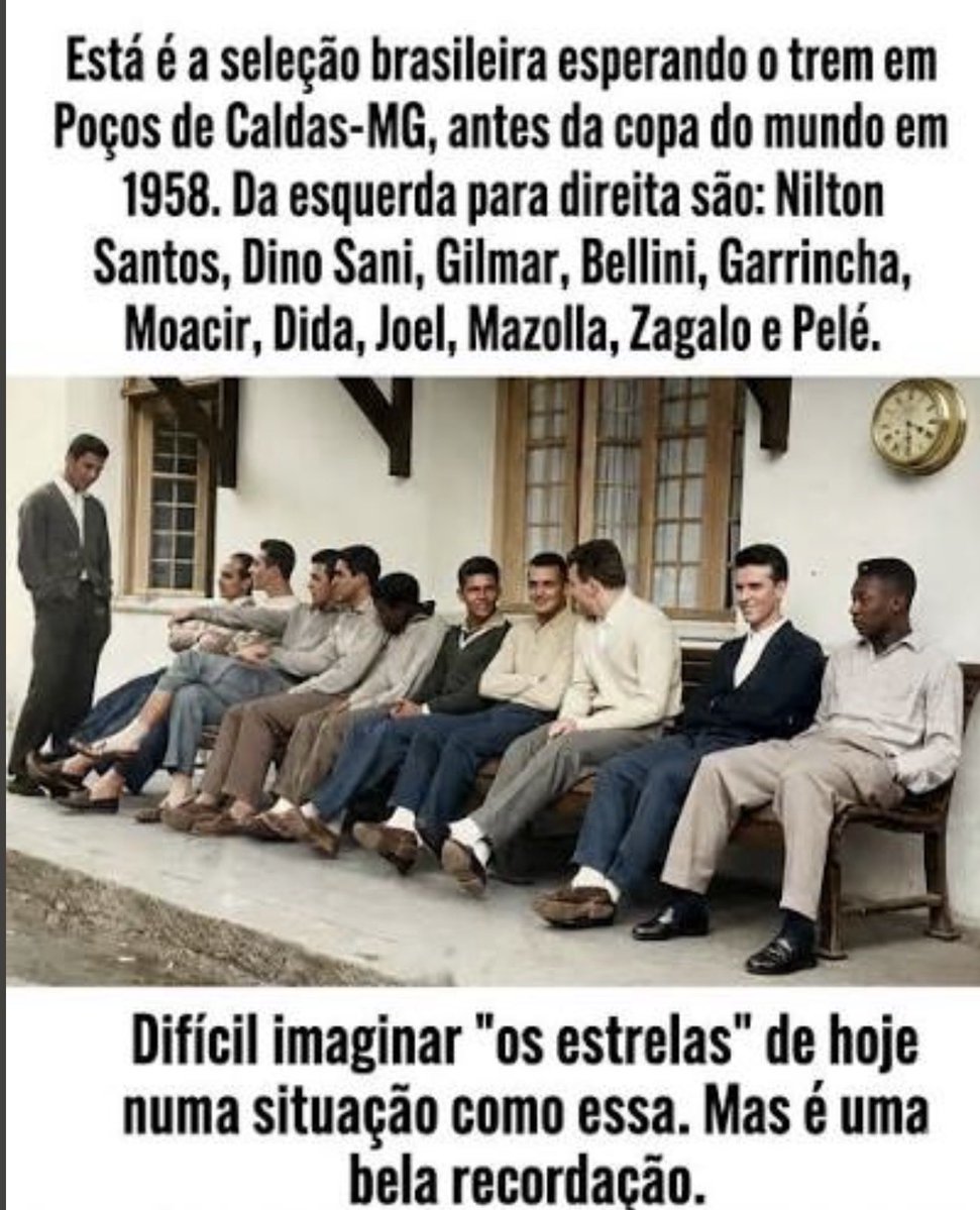 Juliana Bernardini tweet media