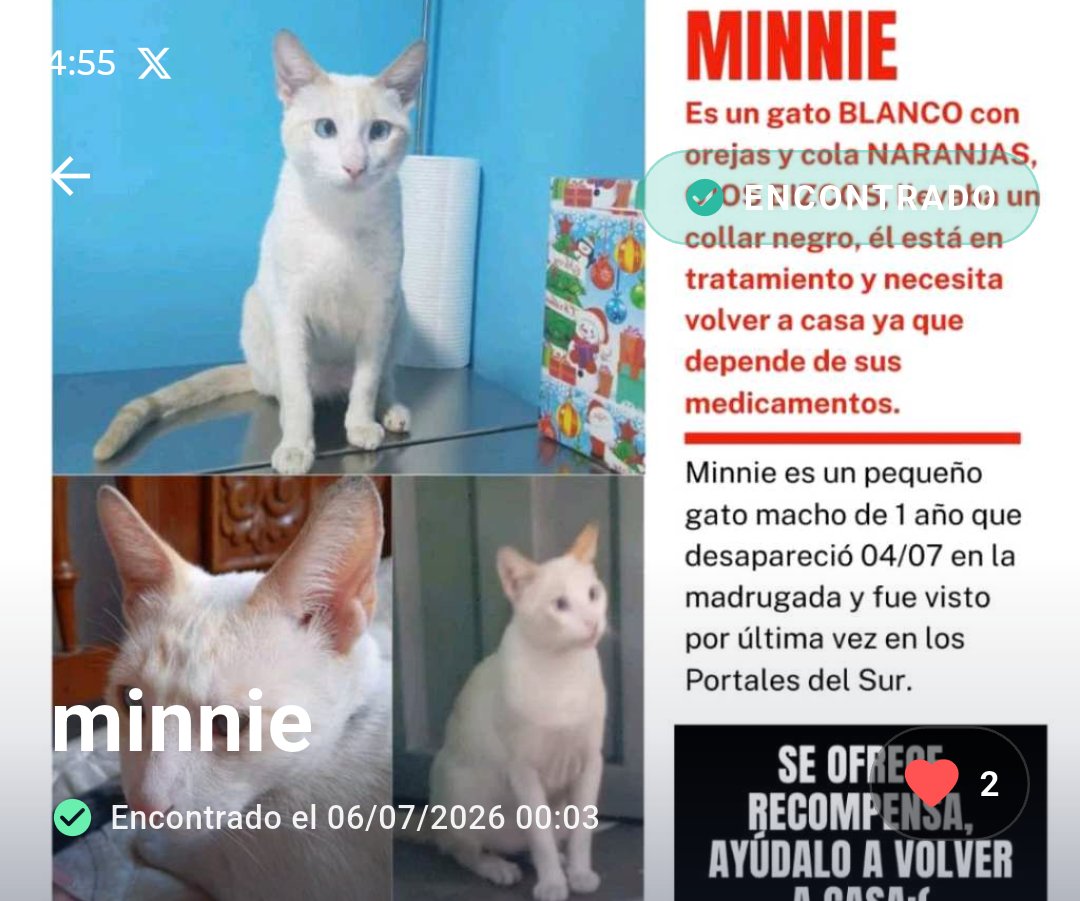 PawFindr - Mascotas Perdidas tweet media