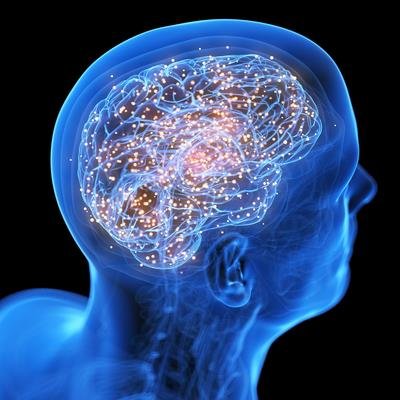 fascinatingonX's tweet photo. 🚨JUST IN: Science confirms that brain cells are influenced by our self-talk https://t.co/kcUpkiurxJ