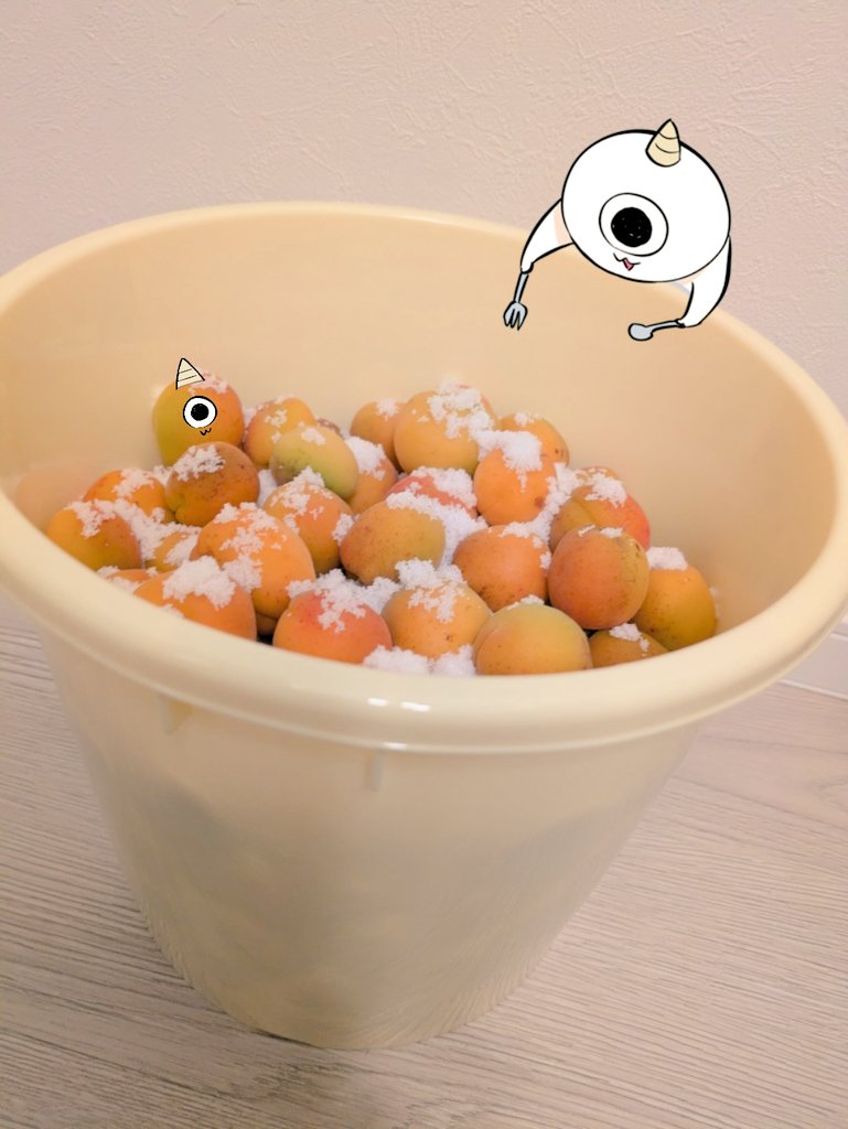 juwasaku's tweet photo. 館鼻岸壁朝市で購入した、完熟梅5kg🌸
梅は500円/kgとお値打ちで、伯方の塩をもさもさと⋯
重石の代わりに、中身入り一升瓶2本乗せました🍶💪
#おうちごはん #料理記録 #梅仕事 #梅干 https://t.co/moEWGeKV4x
