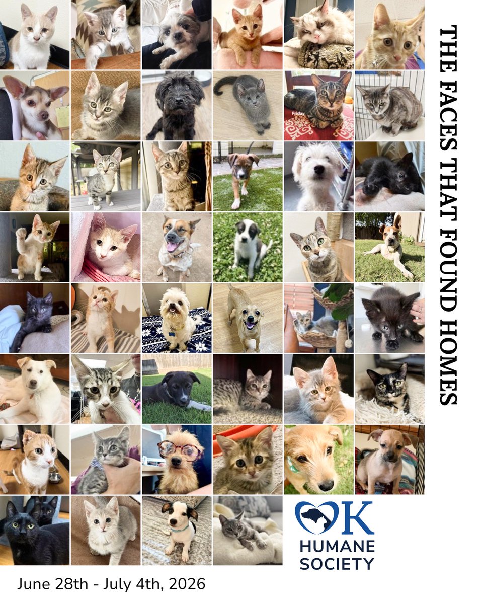 okhumane's tweet photo. We did 50 adoptions last week! 🎉🐾
Congratulations to all of these sweet faces and the families who welcomed a new friend home. Thank you for choosing adoption and giving these pets the love they deserve. 🥰❤️
Some pets not present for picture day. https://t.co/XjU9dwIM5w