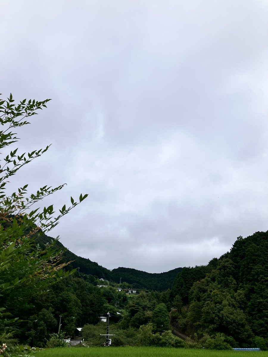 Yf0Sf's tweet photo. おはようございます〜😊
今朝の外気温21° 曇ってます〜！今日は次女お休みで会いに行ってきまーす🚙💨
#ポミー で和んで今日も良い１日を✨
🐯Charging! 🎶😃 https://t.co/epmO62OIJo