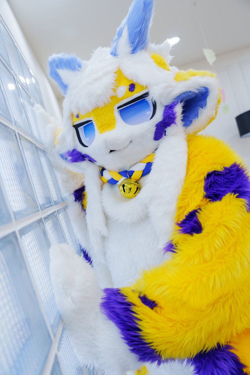 miyafur_kr's tweet photo. 무슨 용건있어? 😒😒
#fursuiteveryday https://t.co/niSBhZxO7Z