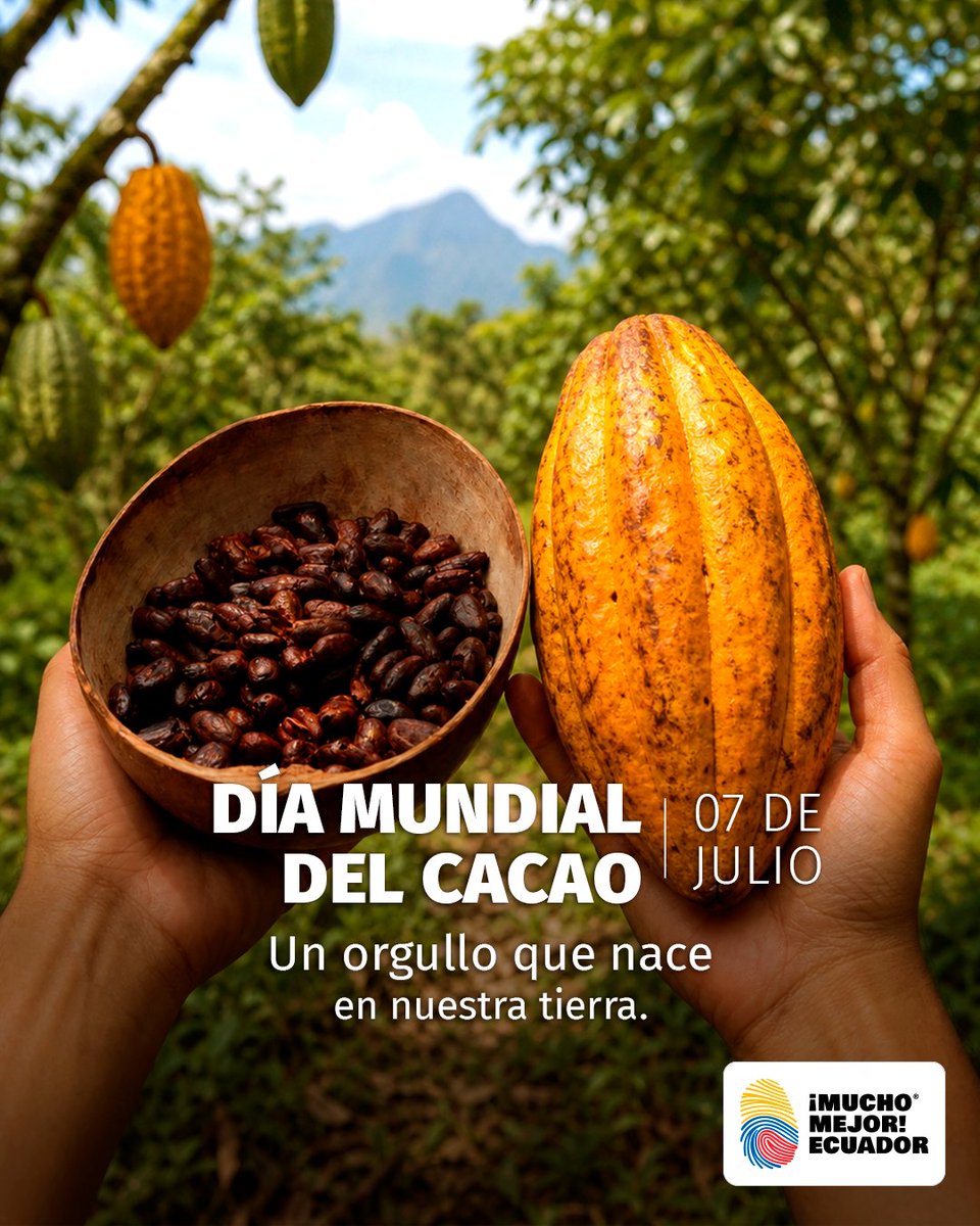 Ecuador_calidad's tweet photo. 🍫🇪🇨 Sabores que cuentan la historia de un país.

En el Día Mundial del Cacao celebramos uno de los mayores tesoros del Ecuador, fruto del trabajo y dedicación de miles de personas que, con sus manos, transforman este cultivo en un símbolo de calidad, identidad y orgullo nacional. 🌱🤎

El cacao ecuatoriano ha conquistado mercados alrededor del mundo por su aroma y excelencia, reflejando el valor de una tradición que se fortalece generación tras generación. Ese camino continúa con el esfuerzo de miles de personas que, día a día, siguen llevando el nombre del Ecuador a lo más alto. 🌍✨