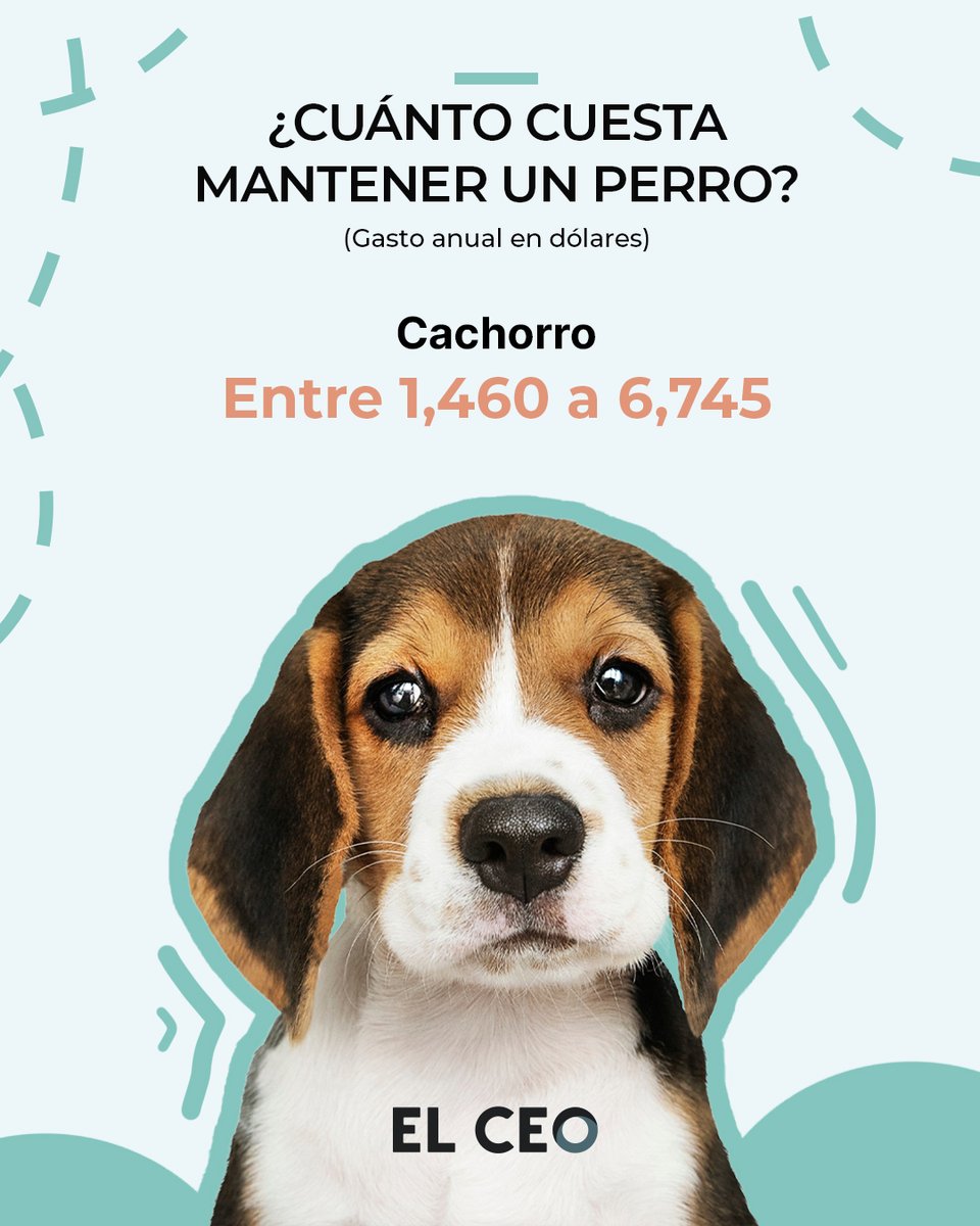 elceo__'s tweet photo. Tener un perro puede representar un gasto anual de entre 1,460 y 6,745 dólares, dependiendo de su edad, tamaño y necesidades médicas, de acuerdo con el reporte Rover Cost of Dog Parenthood Report 2026 https://t.co/qo4oU1adyH