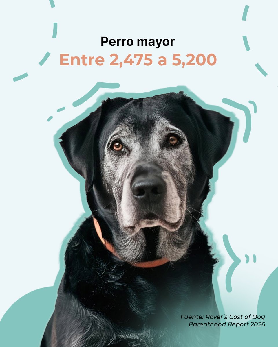 elceo__'s tweet photo. Tener un perro puede representar un gasto anual de entre 1,460 y 6,745 dólares, dependiendo de su edad, tamaño y necesidades médicas, de acuerdo con el reporte Rover Cost of Dog Parenthood Report 2026 https://t.co/qo4oU1adyH