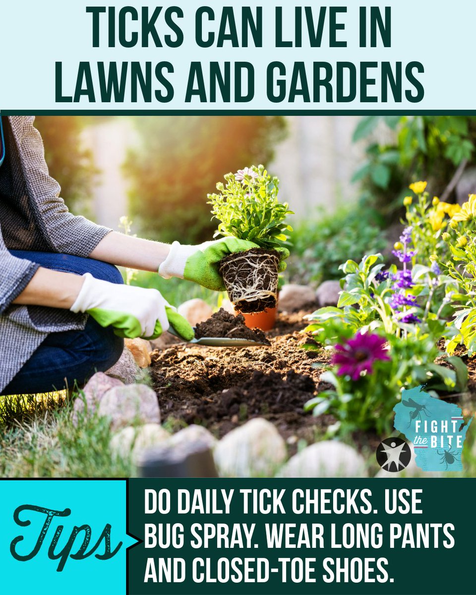 DHSWI's tweet photo. Love to garden? Ticks love gardens too – and hide in them. Wearing bug spray, long pants, long sleeves, and closed-toe shoes can help prevent tick bites. So can tick checks after spending time outside too. Get more tips to #FightTheBite: https://t.co/HCf8FHPG3P #TickSeason https://t.co/6IX7yhVdh2