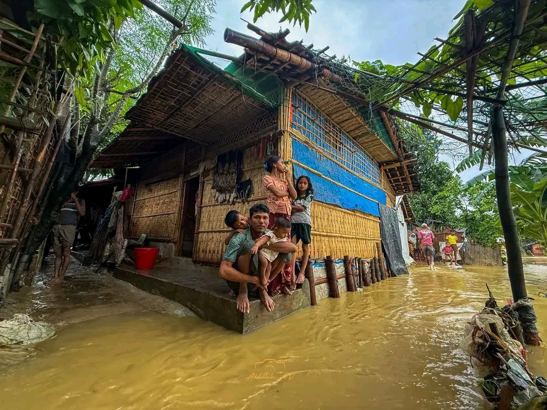 rohingyaPN tweet picture