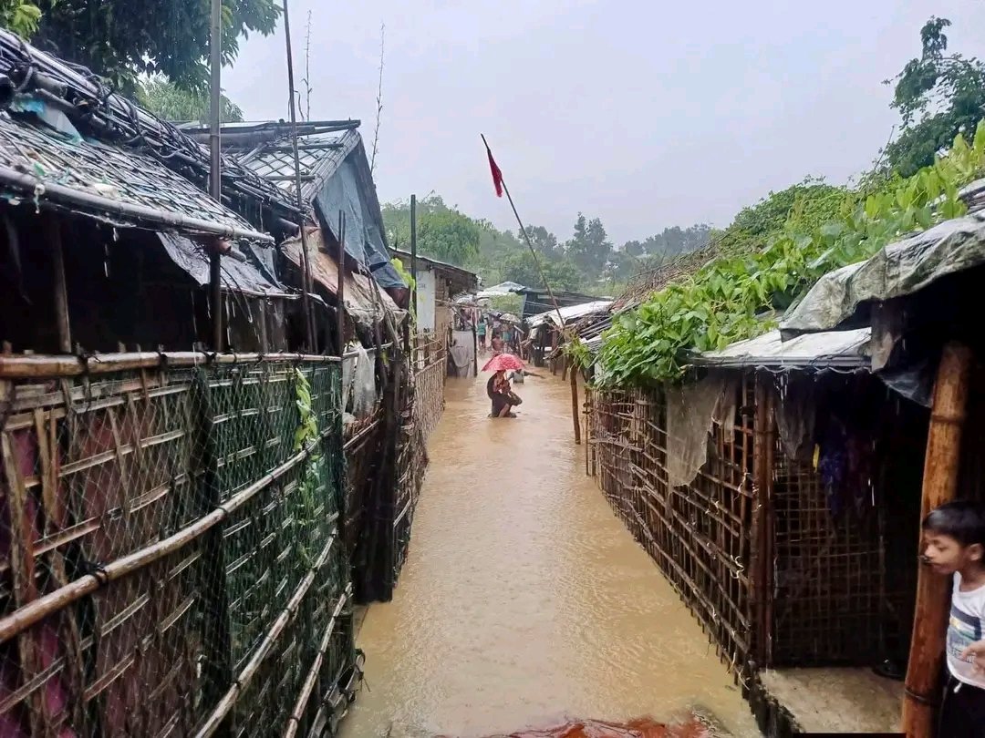 rohingyaPN tweet picture