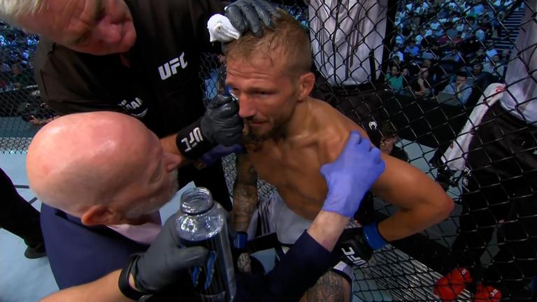 Caveman MMA tweet media
