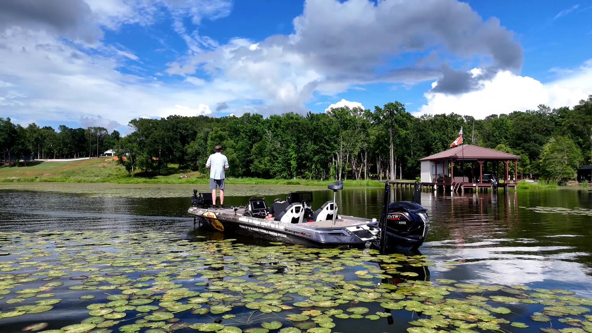FishHandbook's tweet photo. Lily pads are great cover to target! Whether it be with a soft plastic bait or topwater frog, there's a chance you get some quality bites!
#BassProShops #RangerBoats #YamahaOutboards #PowerPole #TotalBoatControl #FishGarmin https://t.co/pdGkOmXuZM