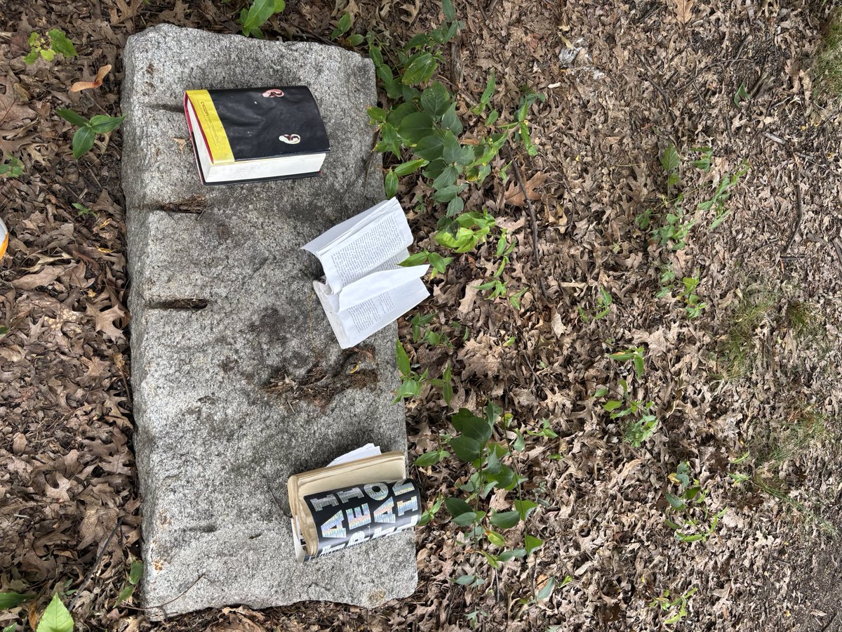 decadantism's tweet photo. Interesting collection left by the Charles @tao_lin https://t.co/FyDJ3T8sPw