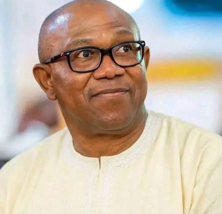 HonestNarrativ's tweet photo. "Peter Obi joined NDC on May 3rd. Tinubu’s termites filed the case on May 5th.

Tinubu only knows one trick: destroy the opposition. 

He perfected it in Lagos, now he’s importing the same rascality to national level.

By desperately attacking NDC just as he has done to every Party Peter Obi goes to, he’s screaming one thing loud: he’s terrified of PO.

No tact,No Strategy to convince Voters. .Just fear."

–Rufai Oseni