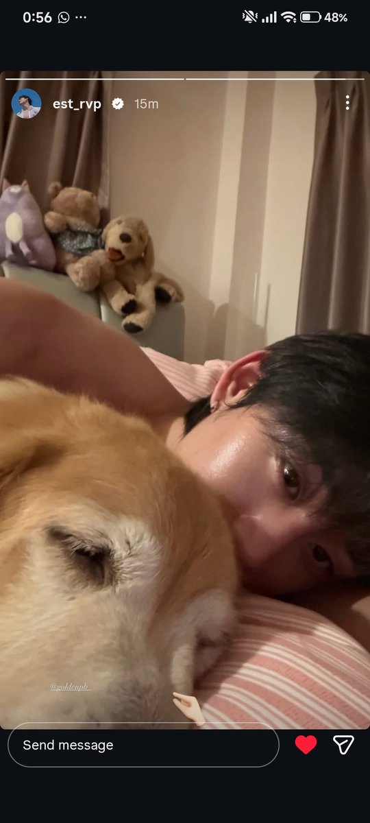 loafsschanjin's tweet photo. ANJRIT BISA GILA MALEM MALEM INI AKUU https://t.co/aiBaFwf42S
