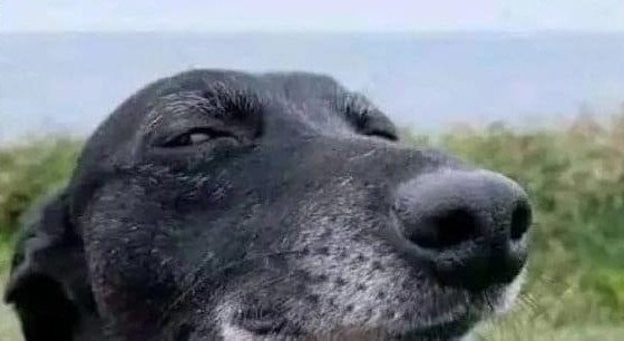 _mungai23_'s tweet photo. Sahii niko tu manze,no prospects in life no responsibility,no friends ,no enemies kazi tu nikukula kwa madhe na kuwaguzia huku x https://t.co/7Pz3ILKynA
