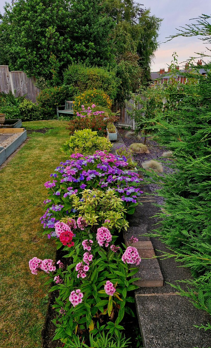 PeterBeuster tweet picture