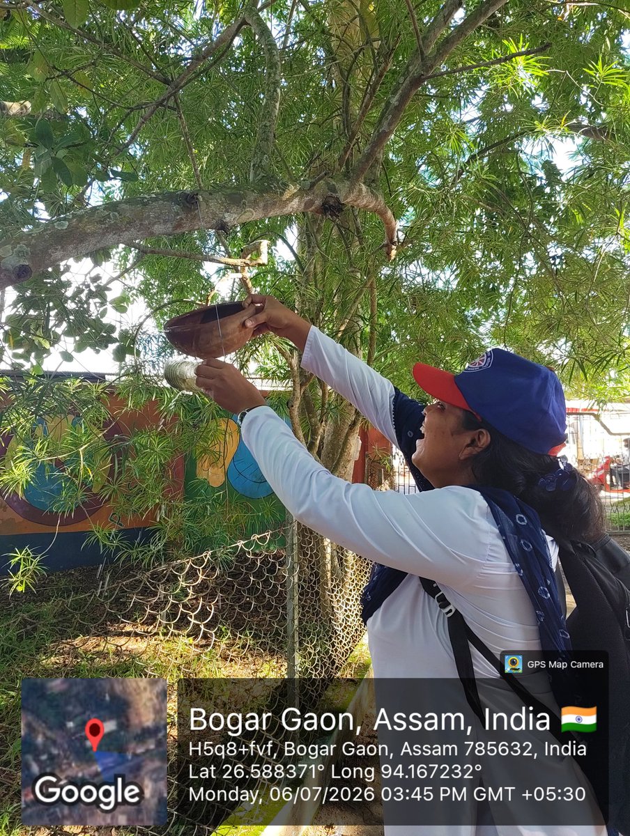 nss_dietjorhat's tweet photo. 💧🐦 Water for Birds Initiative | 
On 6 July 2026, NSS Volunteers of DIET Jorhat,Titabar placed and refilled water bowls at different locations across the campus under the "Water for Birds" initiative. The activity aimed to provide drinking water to birds during the summer. https://t.co/WEwWE4Rtas